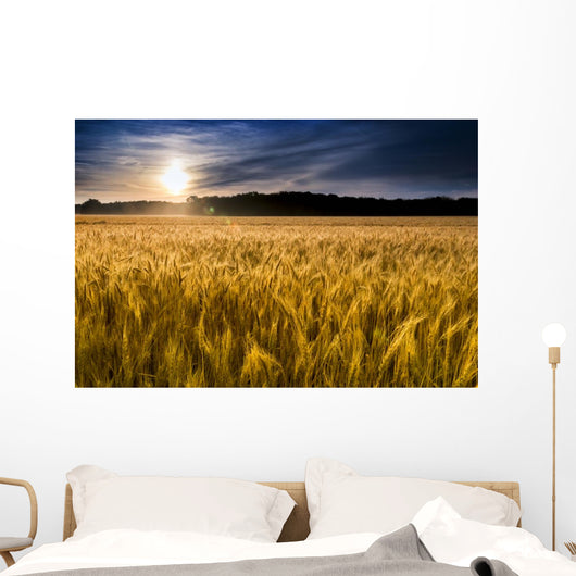 Misty Sunrise over Golden Wall Decal