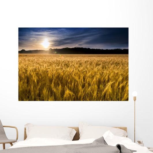 Misty Sunrise over Golden Wall Decal