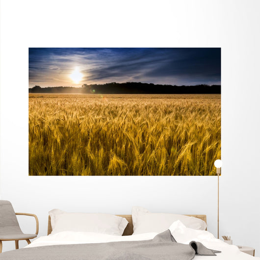 Misty Sunrise over Golden Wall Decal