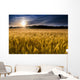Misty Sunrise over Golden Wall Decal