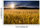 Misty Sunrise over Golden Wall Decal