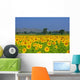 Sunflower Field Wall Decal