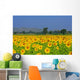 Sunflower Field Wall Decal