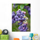 Blueberry Bush Branch Leaf Wall Decal