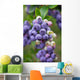 Blueberry Bush Branch Leaf Wall Decal