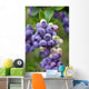 Blueberry Bush Branch Leaf Wall Decal
