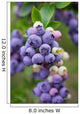 Blueberry Bush Branch Leaf Wall Decal