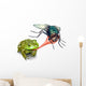 Frog Catching Bug Wall Decal