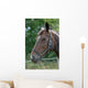Thoroughbred Horse with Halter Wall Decal
