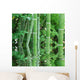 Bamboo Poles in Water Wall Decal