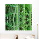 Bamboo Poles in Water Wall Decal