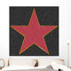Walk Fame Star Wall Decal