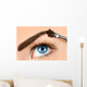 Eyebrow Makeup Wall Decal
