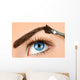 Eyebrow Makeup Wall Decal