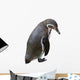 Sad Penguin Wall Decal