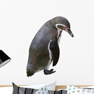 Sad Penguin Wall Decal shown on a wall