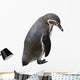 Sad Penguin Wall Decal