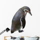 Sad Penguin Wall Decal