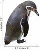 Sad Penguin Wall Decal