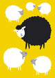 Black Sheep Concepts Wall Decal