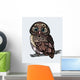 Cartoon Owl Wall Decal