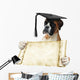 Boxer 306 Wall Decal