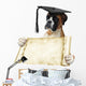Boxer 306 Wall Decal