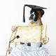 Boxer 306 Wall Decal