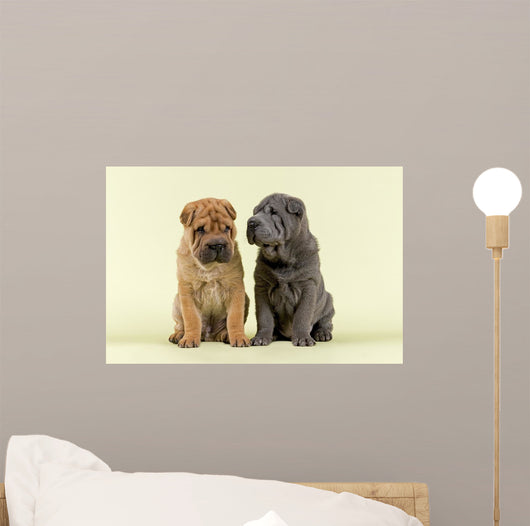 Shar Pei Dogs Wall Decal