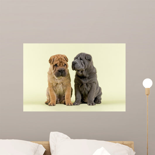 Shar Pei Dogs Wall Decal