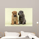 Shar Pei Dogs Wall Decal