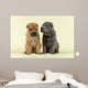 Shar Pei Dogs Wall Decal