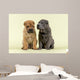 Shar Pei Dogs Wall Decal