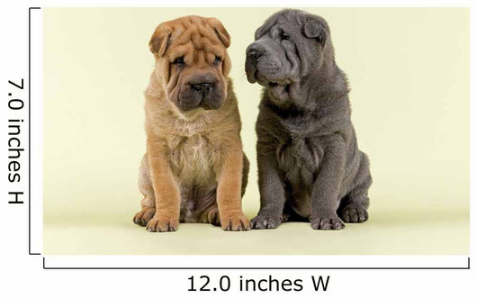 Shar Pei Dogs Wall Decal