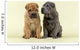 Shar Pei Dogs Wall Decal