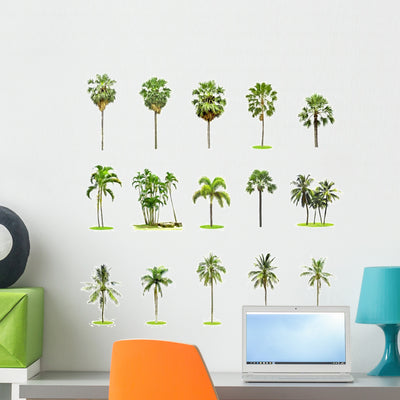Set Palm and Coconut Wall Decal Sticker Set Wall Decal shown on a wall