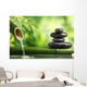 Bamboo Health Spa Wall Decal