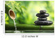 Bamboo Health Spa Wall Decal