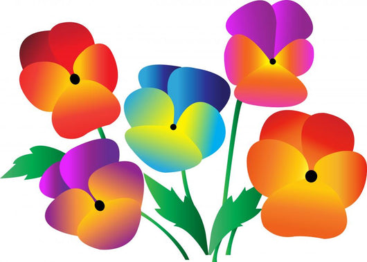 Pansy Flowers Wall Decal