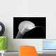 Calla Lily Spiral Black Wall Decal