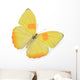 Yellow Butterfly Wall Decal