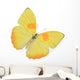 Yellow Butterfly Wall Decal