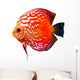 Colorful Tropical Discus Fish Wall Decal