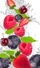 Fresh Fruit Water Splash Wall Decal