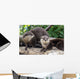 Two Otters up Wall Decal
