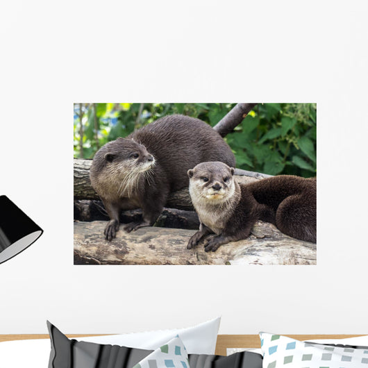 Two Otters up Wall Decal