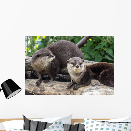 Two Otters up Wall Decal