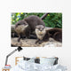 Two Otters up Wall Decal