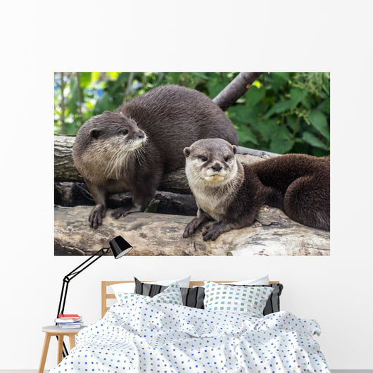 Two Otters up Wall Decal