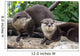 Two Otters up Wall Decal